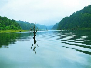 Thekkady2