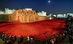 Poppies at the Tower of London: Blood Swept Lands and Seas of Red, 30 October 2014.